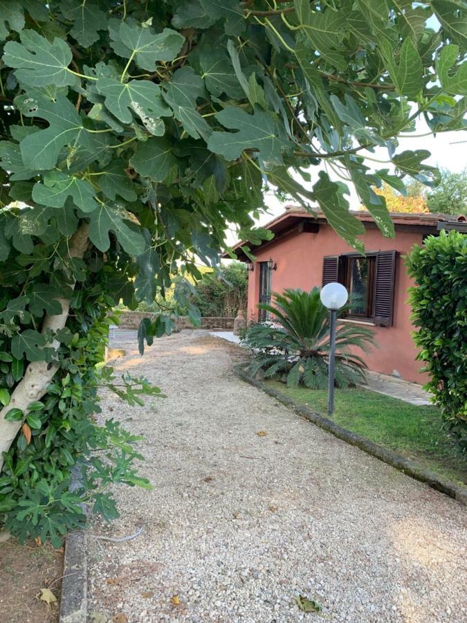 로마 La Casa Di Irene Nel Golf Club 빌라 외부 사진